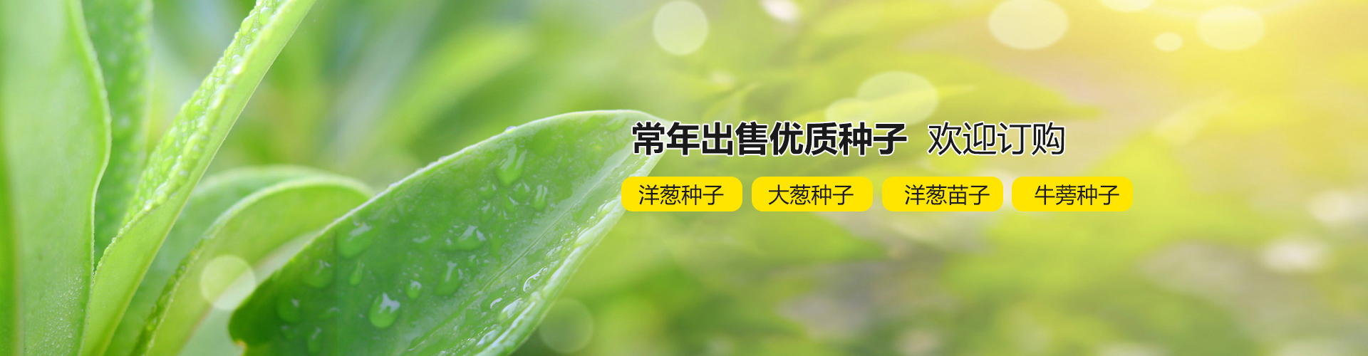 濟寧恒基石材銷售有限公司